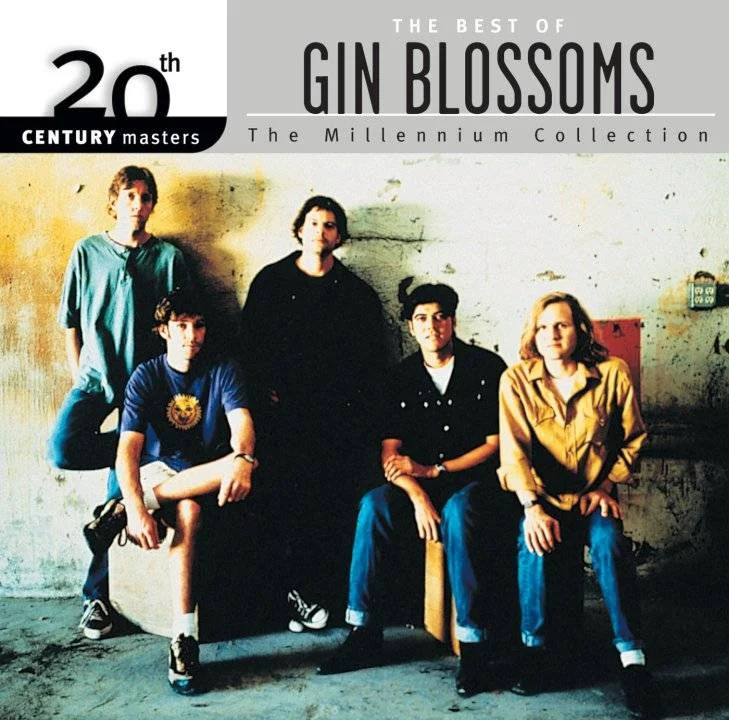 THE BEST OF GIN BLOSSOMS 16BIT 44.1KHZ