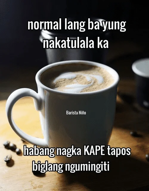 1691556299628.webp