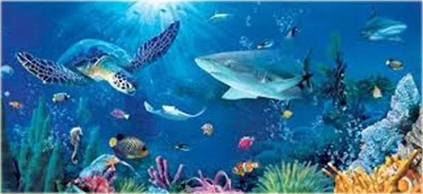 sea-life.jpg