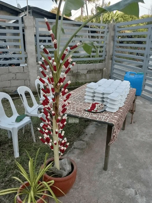 1691927634595.webp