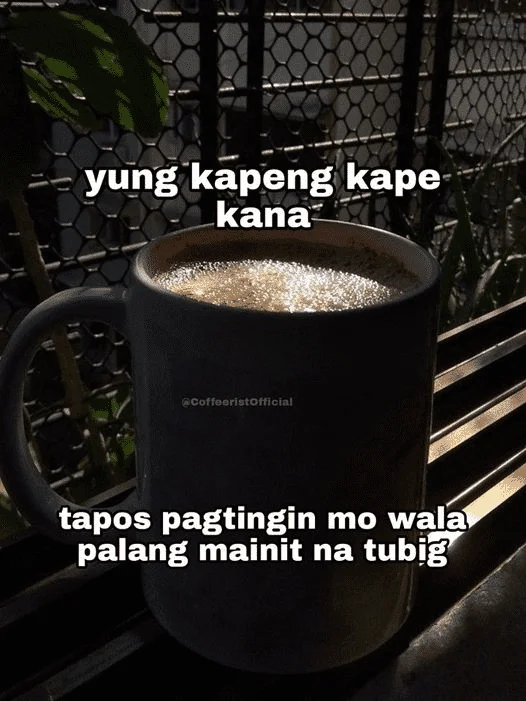1691929789940.webp