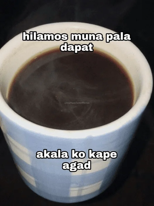 1692191855246.webp
