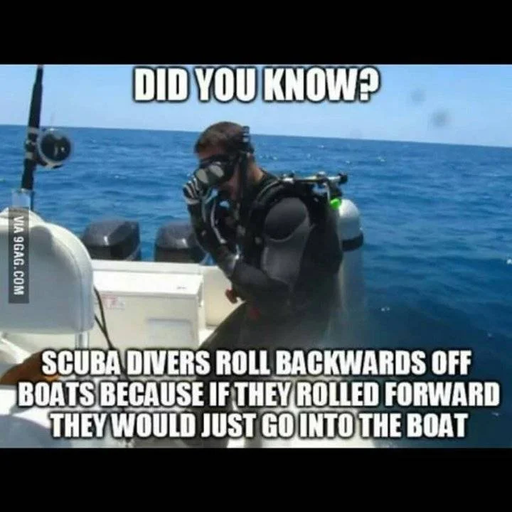 9b03b023715b3eb3ed456e3ca2535e63.webp
