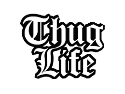 1692534855620.webp