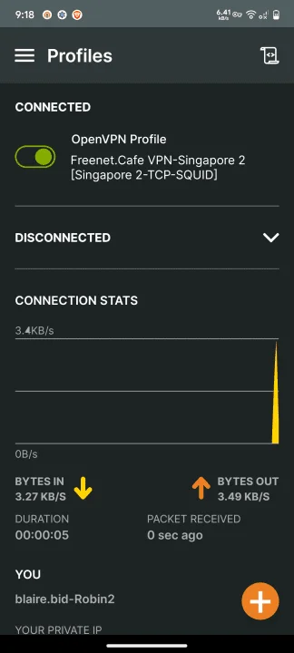 Screenshot_20230825-091818_OpenVPN Connect.png