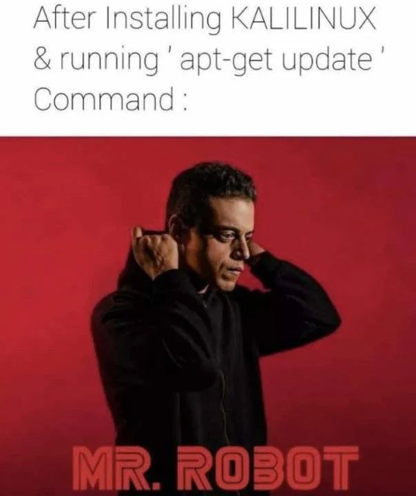mr.robot.webp
