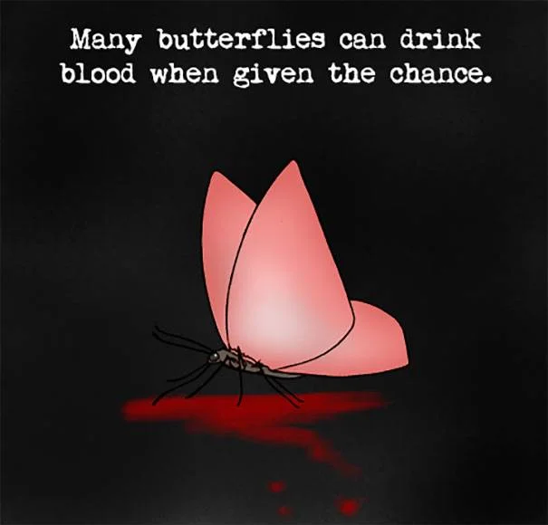 animal-facts-nature-is-magical-chaoslife-7-59dc827915968__605.webp