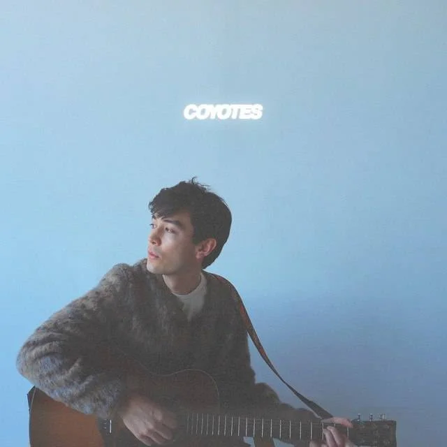 Coyotes - Public Library Commute
