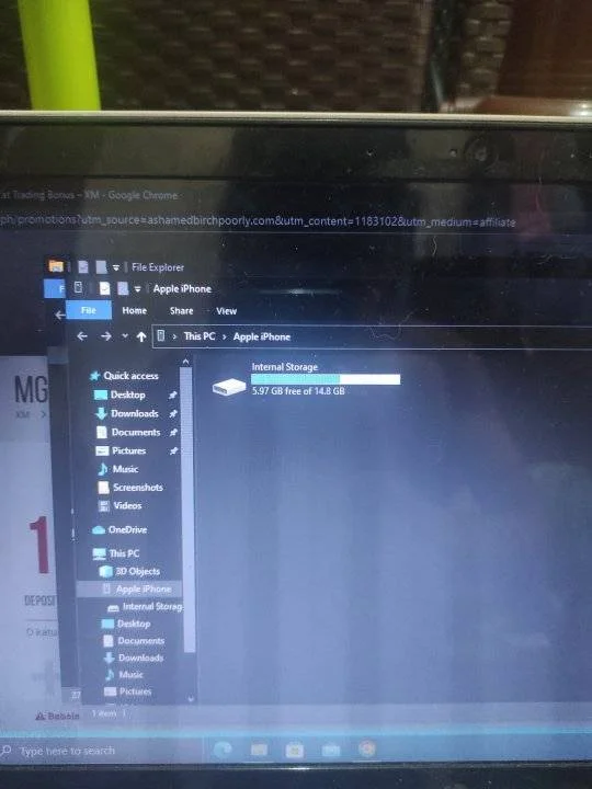 16936181342127242669185200840686.webp
