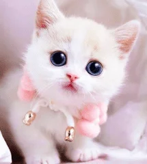 1693946628821.webp