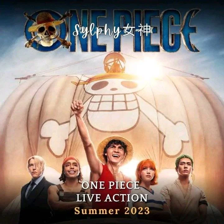 One Piece Season 1 - All Episode