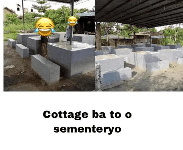 1694094179123.webp