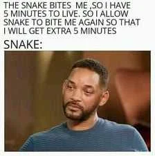snake meme.webp