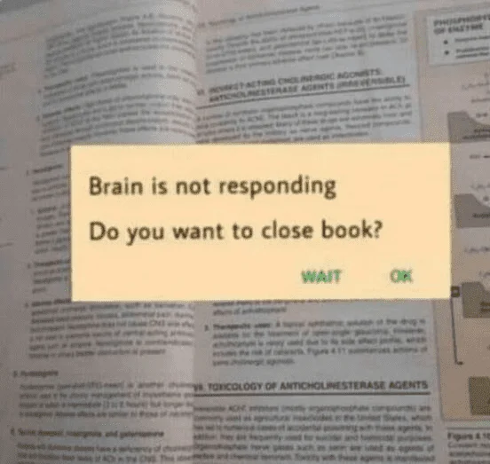 1694410074526.png