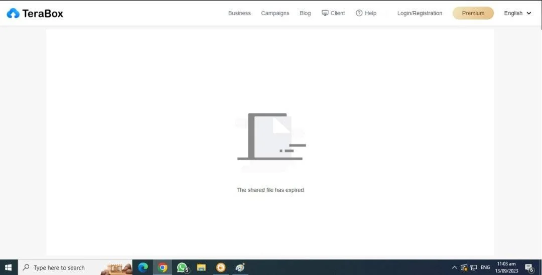 1.webp
