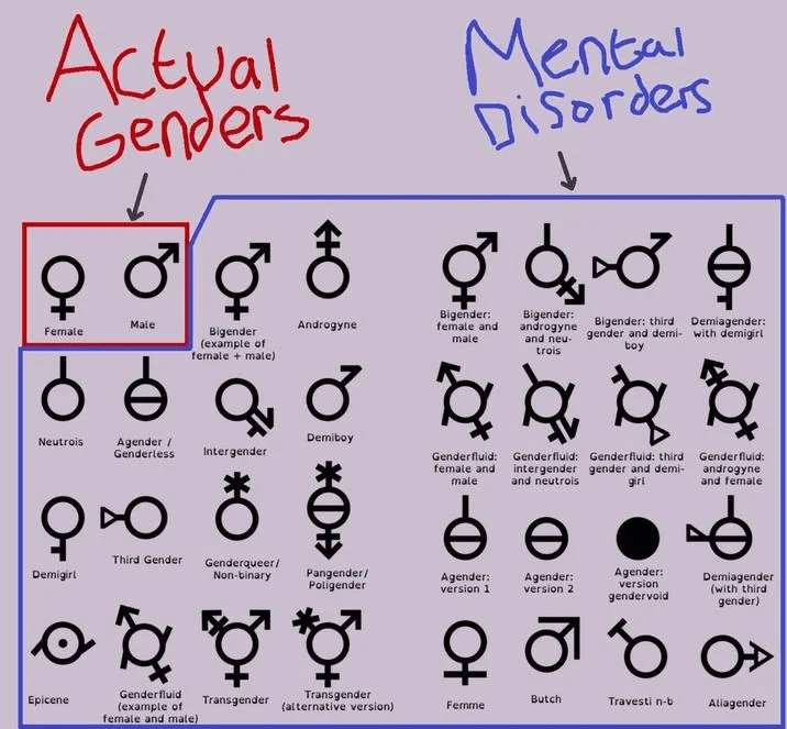 1694610127115.webp