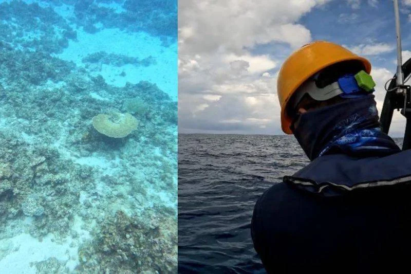 'Walang natira': AFP suspects China behind massive coral harvesting in Rozul Reef