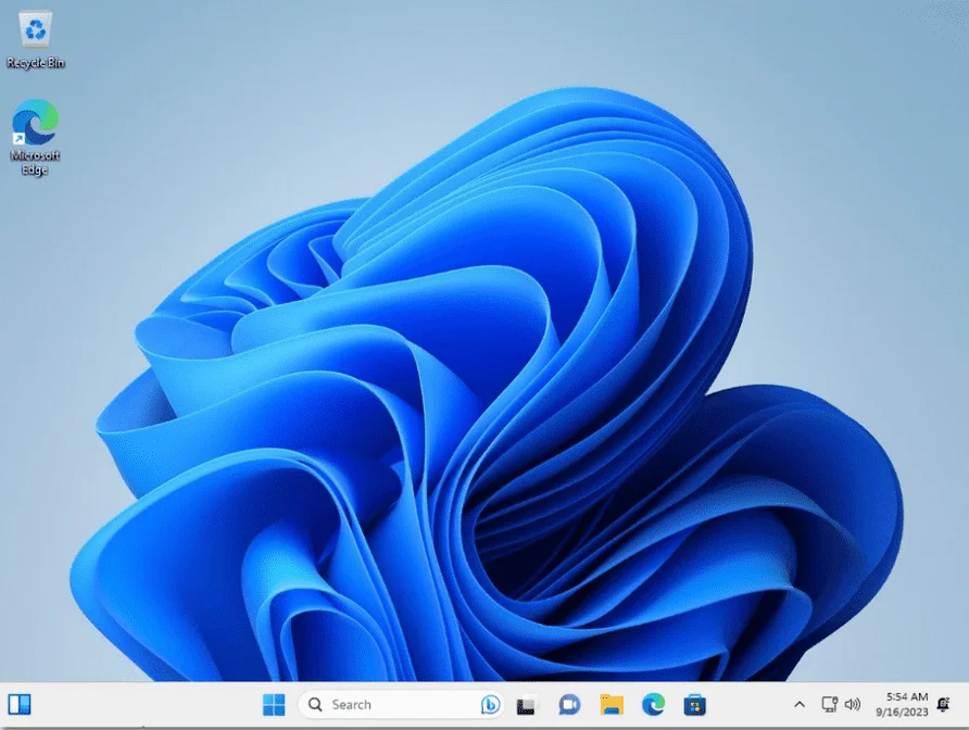 6.webp