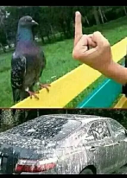 379062703_797595548831626_7190575145014341750_n.webp