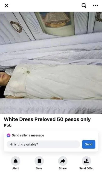 344206961_558566259756648_2383308305579209324_n.webp