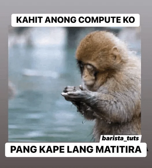 1695297931074.webp