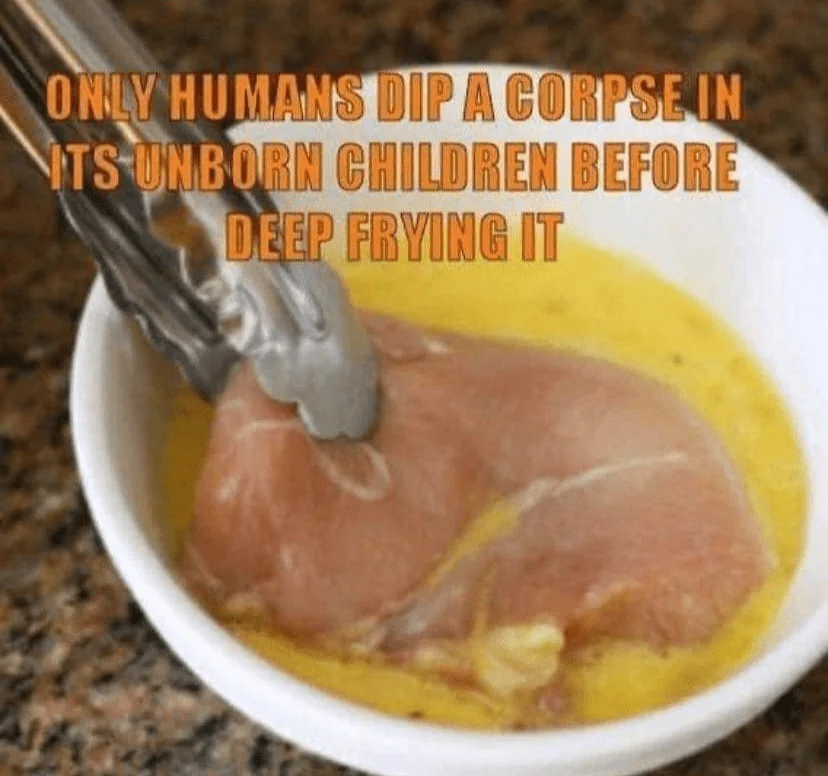 1696309306399.webp