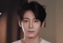 Curtain HairCut 3.png