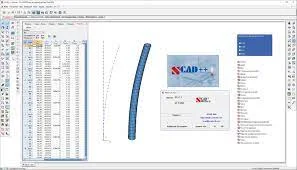 SCAD.webp