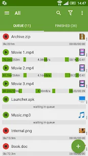 unnamed (4).webp