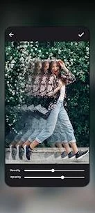 unnamed (10).webp