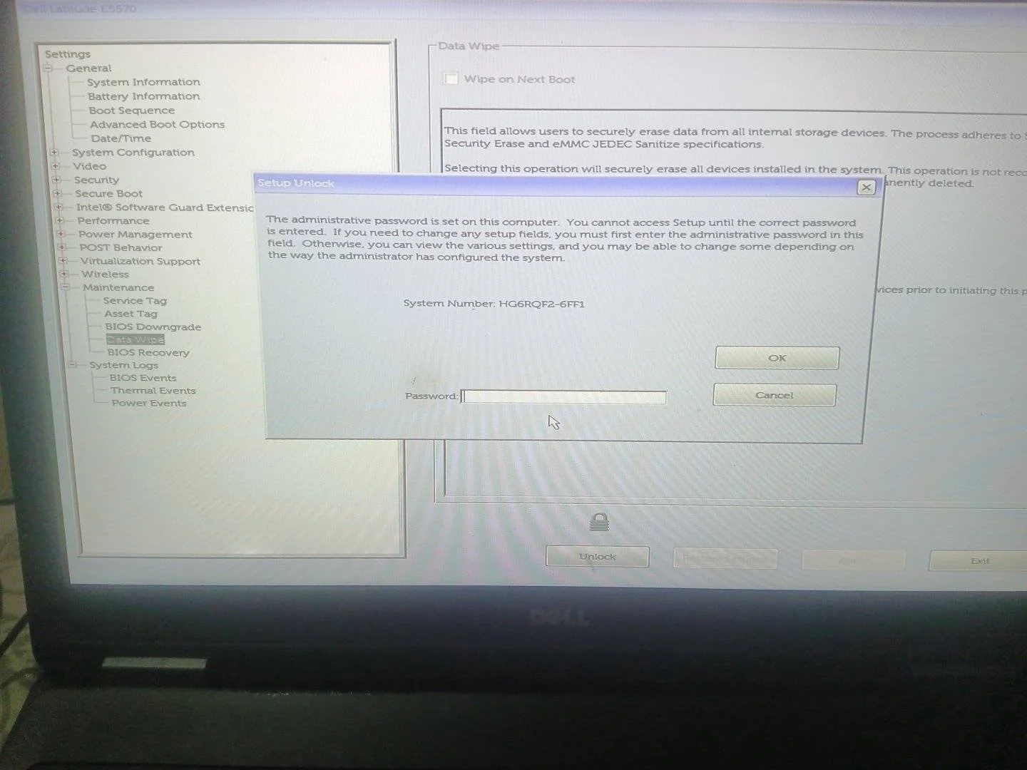 16970319815015982336161649117581.webp