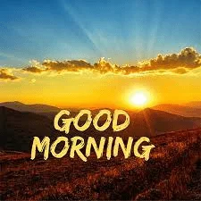 1697298037819.webp