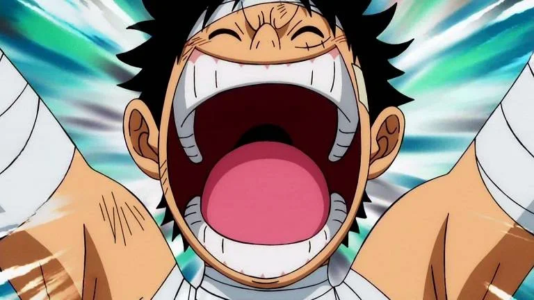 One Piece Episode 1079 1080p WEB-DL
