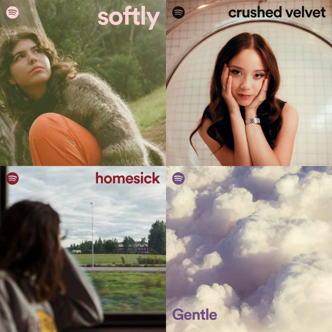 Spotify Playlist | softly, crushed velvet, homesick, Gentle (OGG 320 kbps Vorbis)