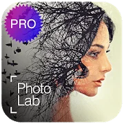 photolabb.webp