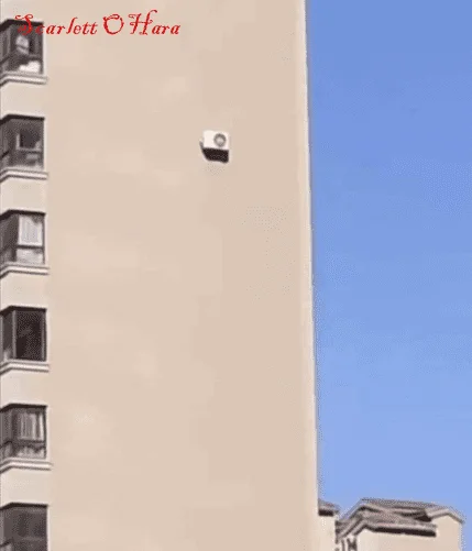 1697552564557.png
