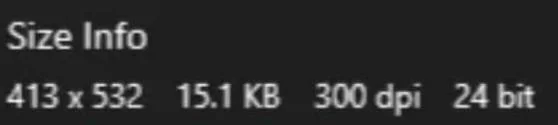 1697608073916_1.webp