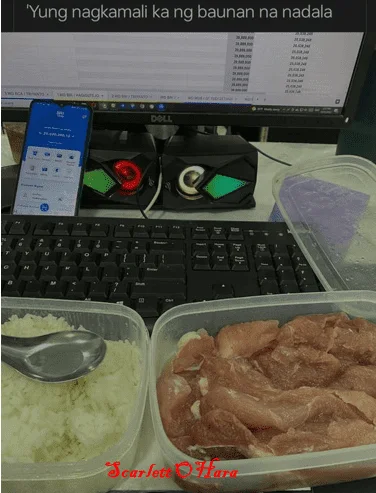1697640418423.webp