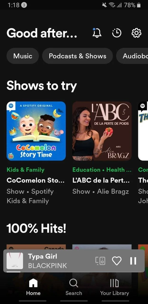 Screenshot_20231027-131843_Spotify.webp