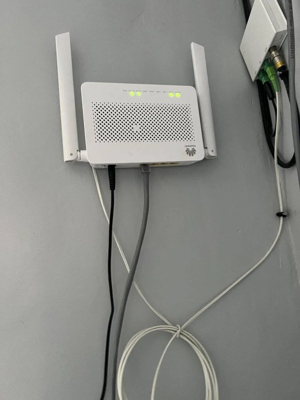 received_702369615145037.jpeg