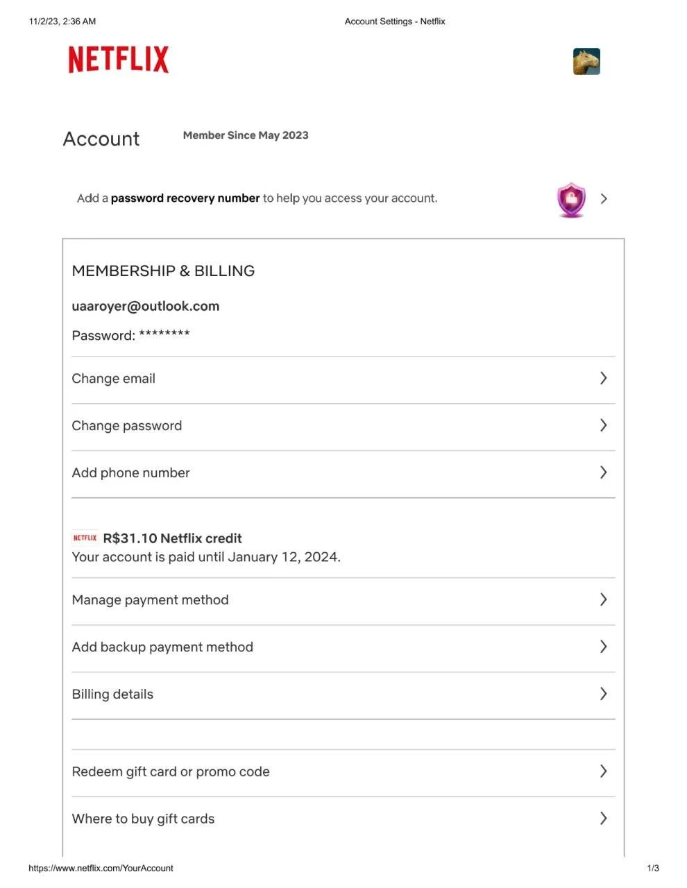 netflix_page-0001.webp
