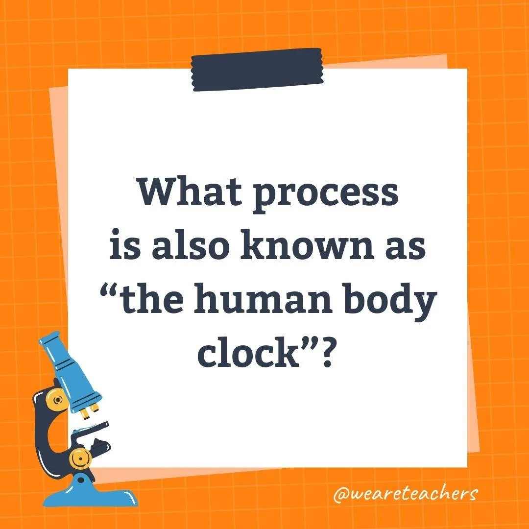 Wards-Science-Trivia-16.webp