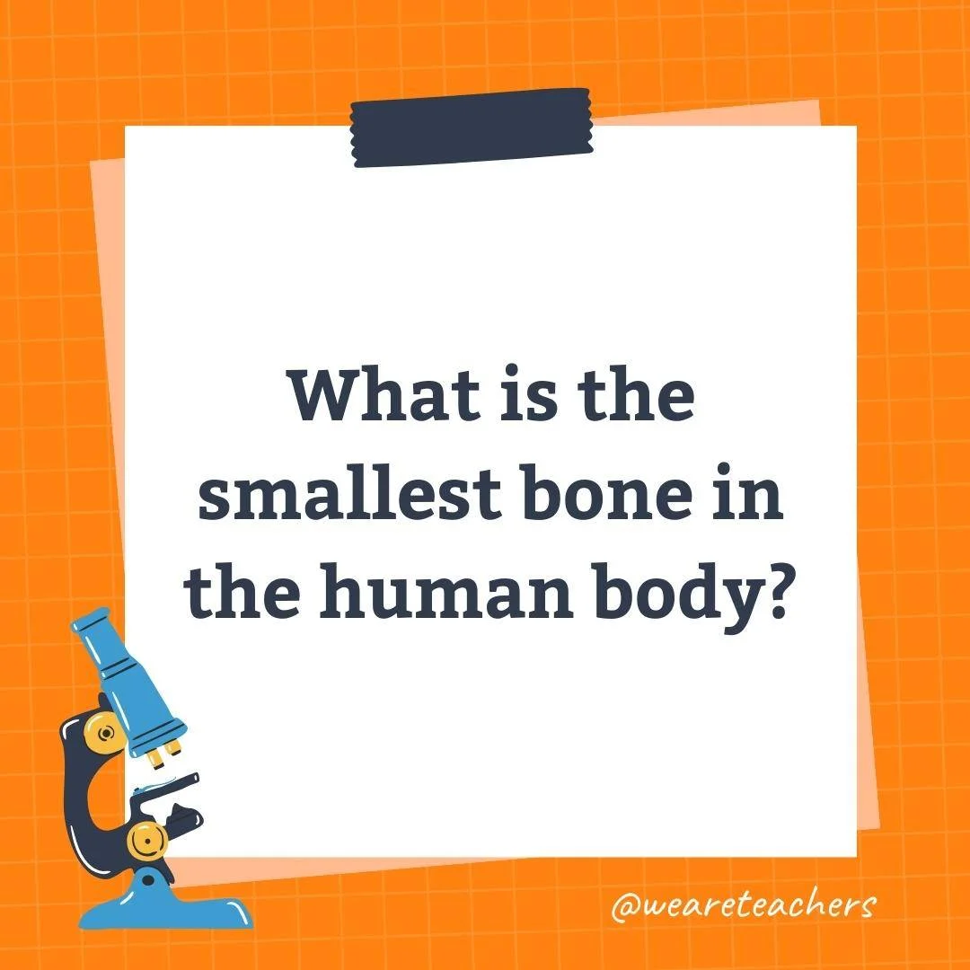 Wards-Science-Trivia-18.webp