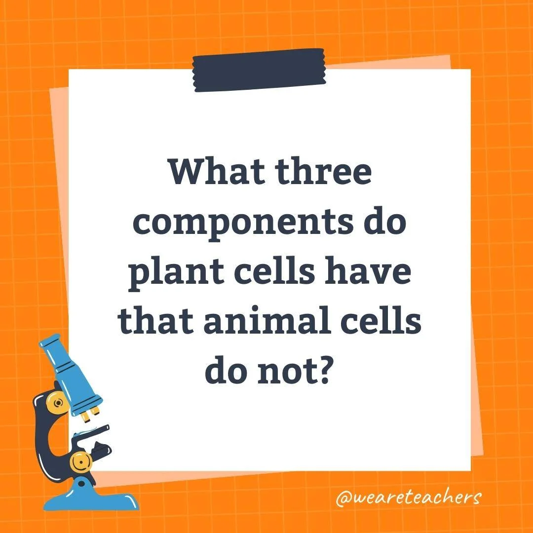 Wards-Science-Trivia-20.webp