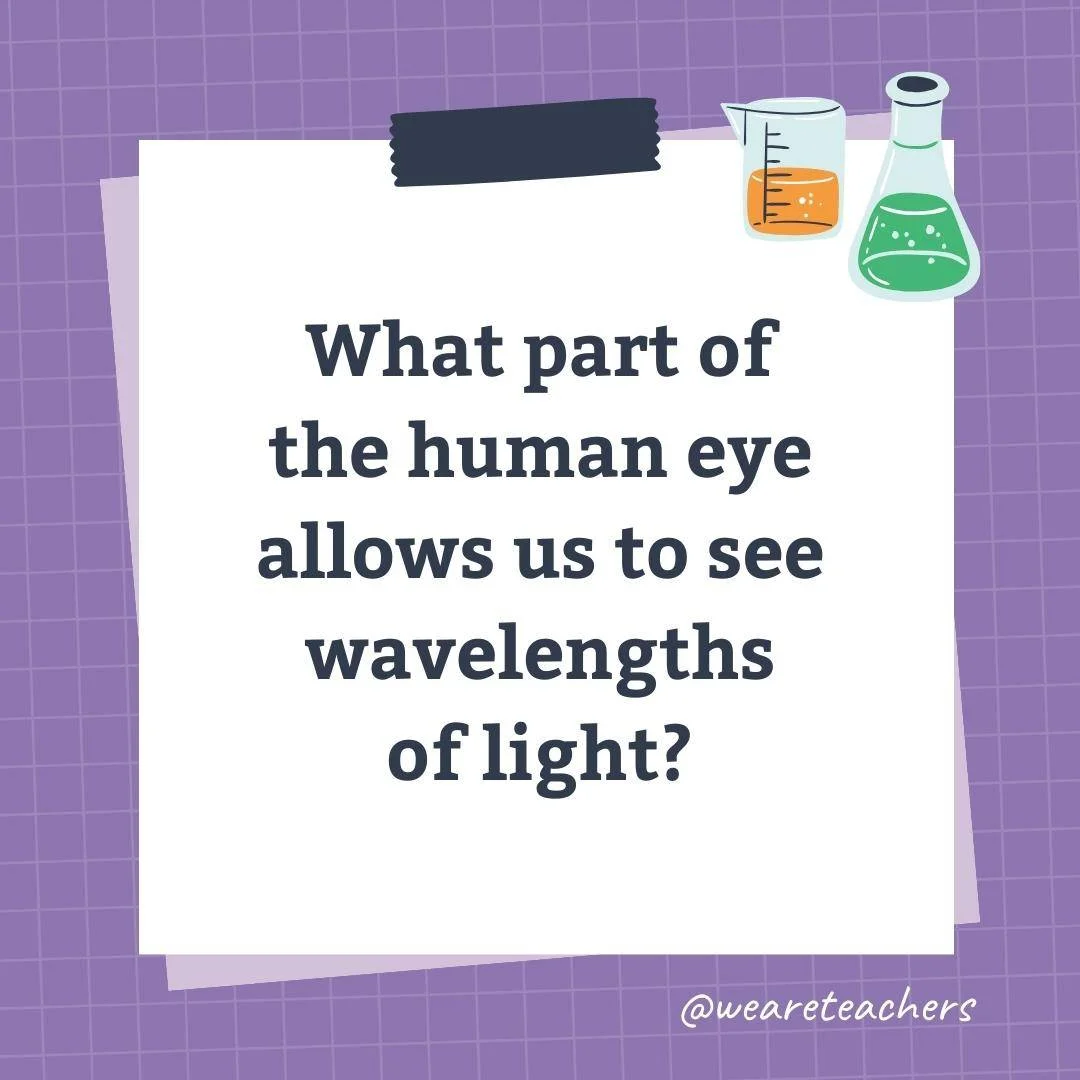 Wards-Science-Trivia-47.webp