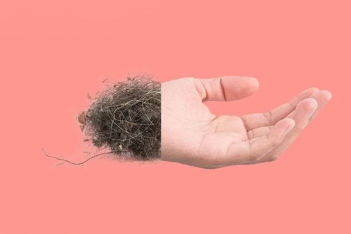 dead-skin-cells-in-dust-facts.webp