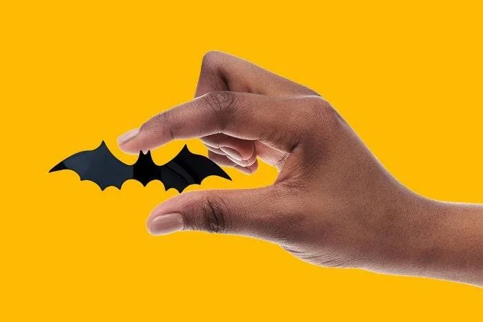 bumblee-bee-bat-smallest-mammall-intersting-face_rd.com-2-getty-images-1.webp