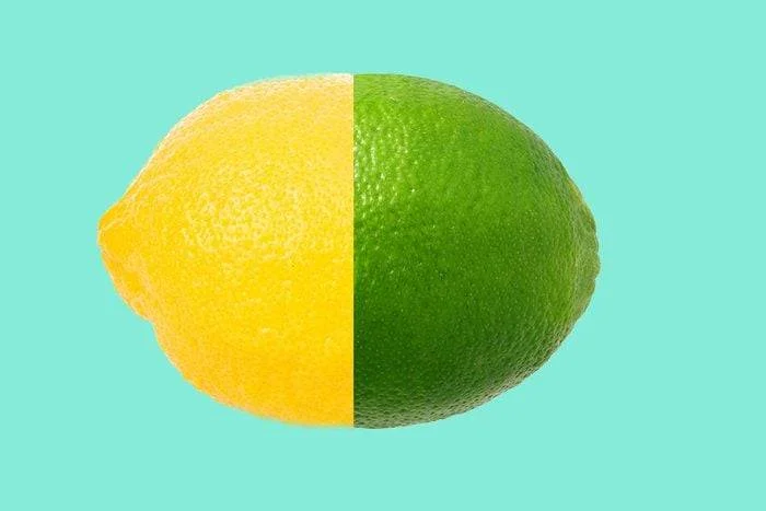 lemon-and-lime-facts.webp