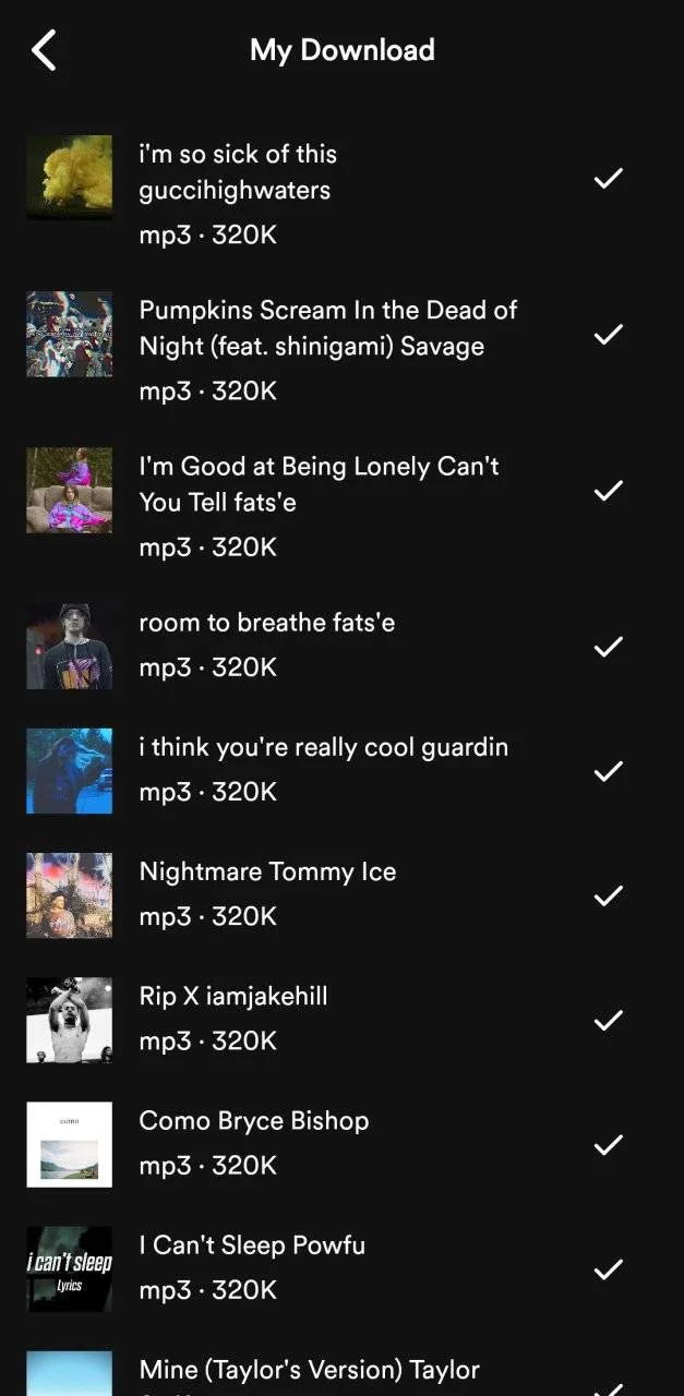 Screenshot_20231106_154832_Spotify X.jpg