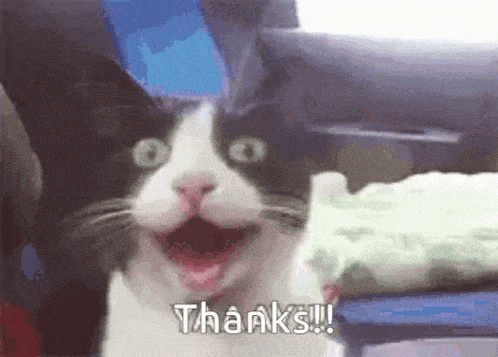 thanks-thank-you.gif